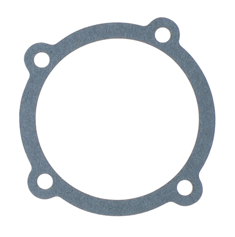 DURAPRO GSKA744D WATER PUMP GASKET FORD FPV 6 3.2 3.9 4.0L BARRA & TURBO